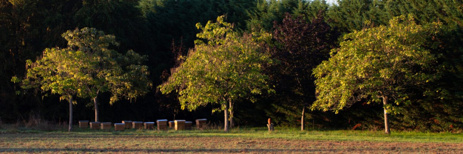 Château de la Calonniere
Septembre 23/24 /25  Septembre 2023